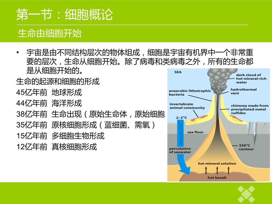 细胞生物学概论(20150914).ppt_第2页