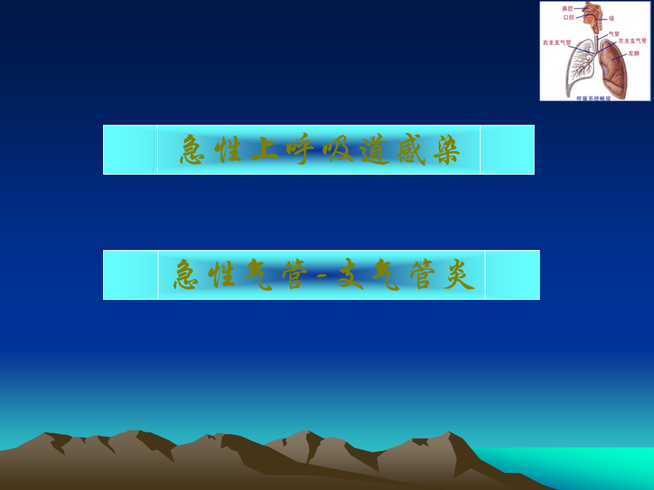 急性呼吸道感染病人的护理.pptx_第2页