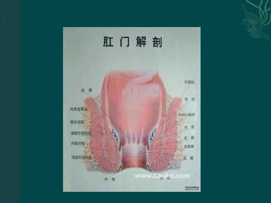 肛瘘护理.ppt_第2页