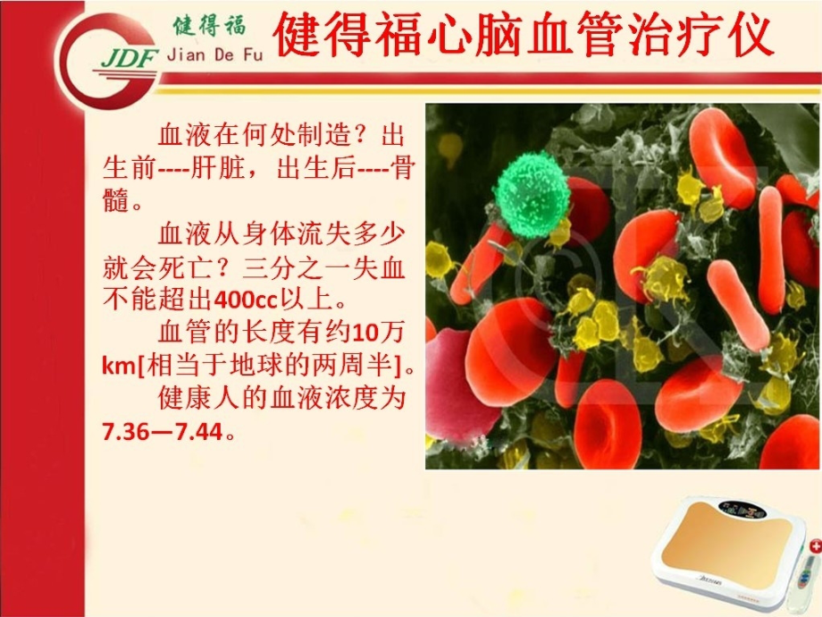 血液重要性.ppt_第2页