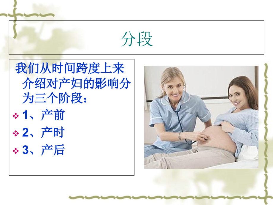 家庭支持对产妇的影响.ppt_第2页