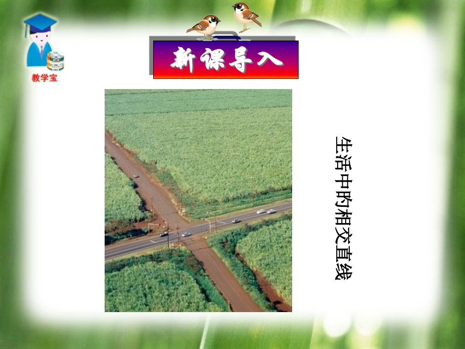 人教版七年级下册相交线公开课一等奖市赛课获奖课件.pptx_第2页