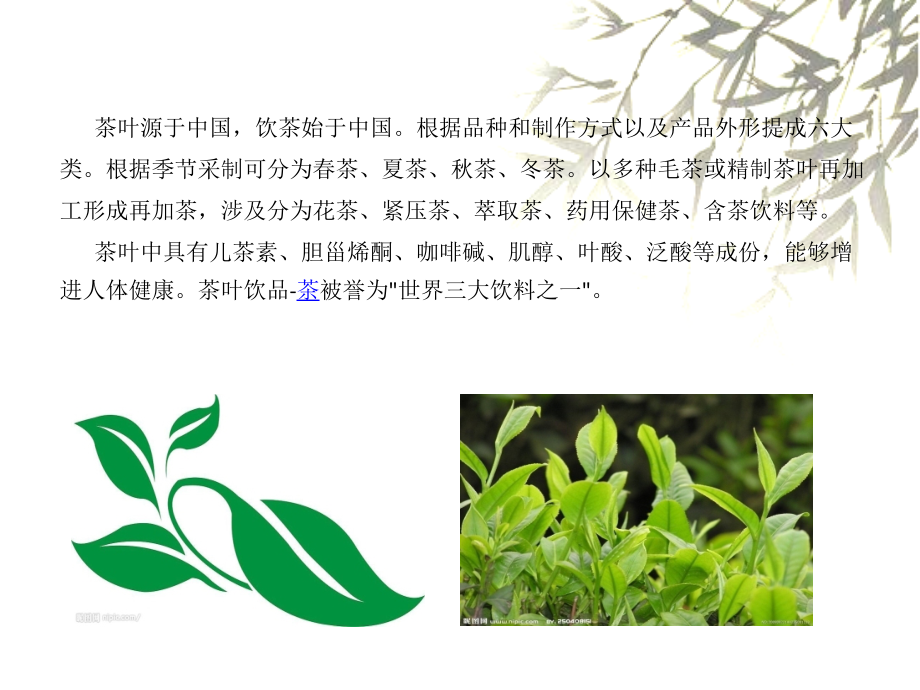 中国茶叶简介.pptx_第2页