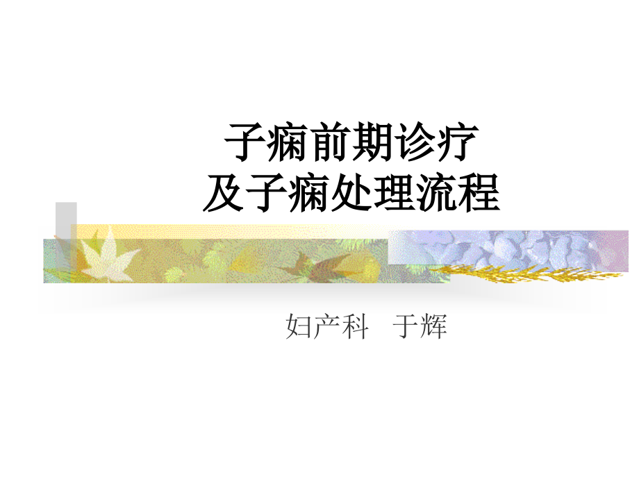 子痫前期诊断及子痫处理.pptx_第1页