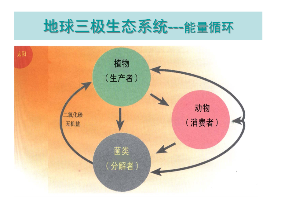 第四章：能量与代谢.ppt_第2页