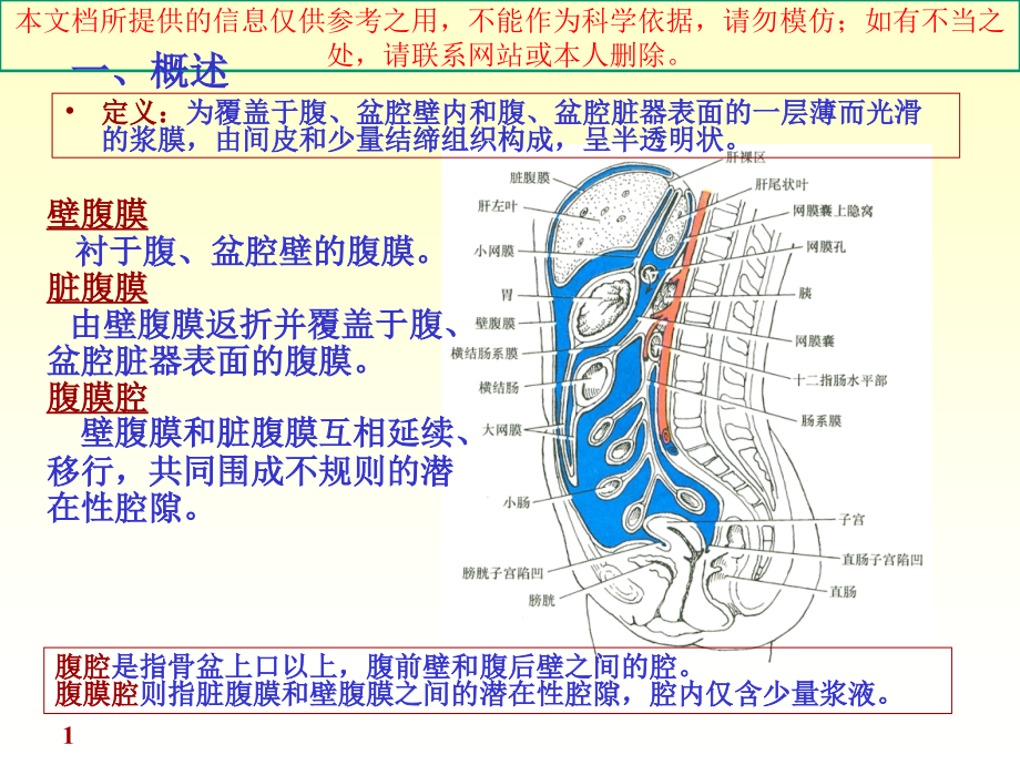 内脏学腹膜专业知识讲座培训课件.ppt_第1页