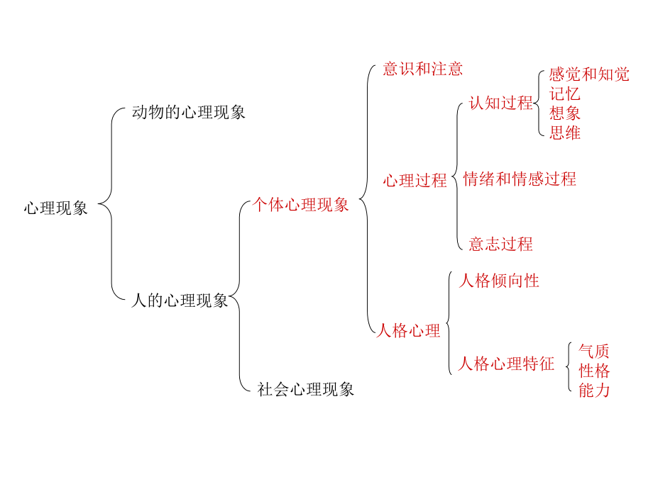 心理学基础复习提纲.ppt_第1页