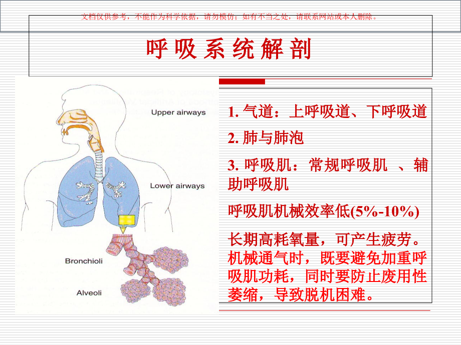 呼吸机常见报警及处理课件.ppt_第1页