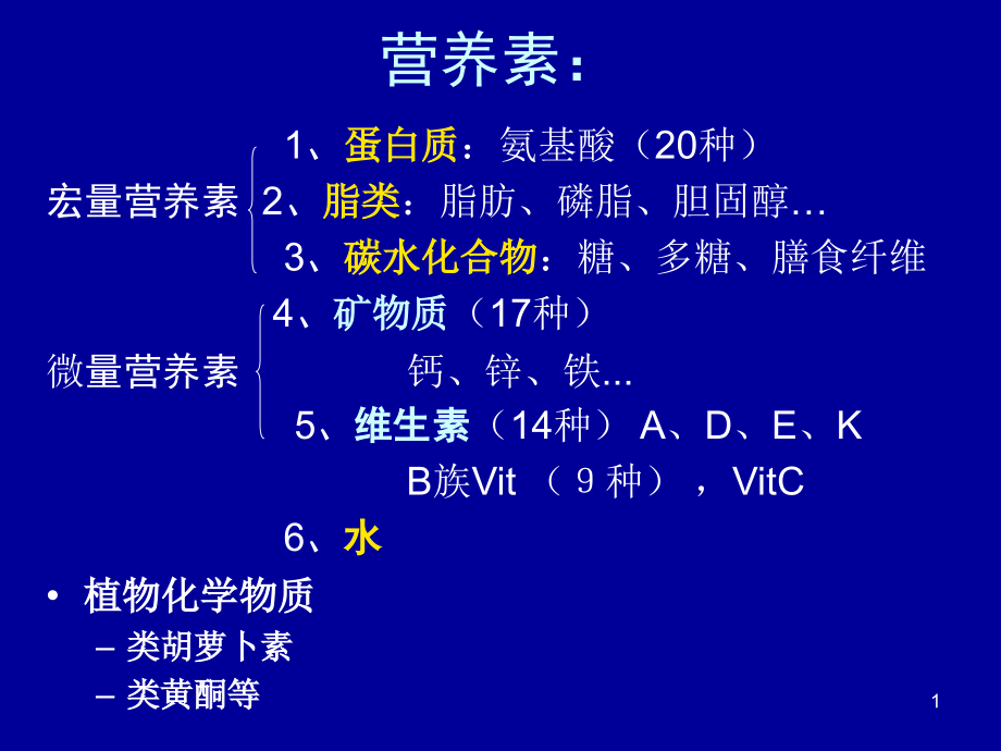 第九章--强化与保健食品.ppt_第1页