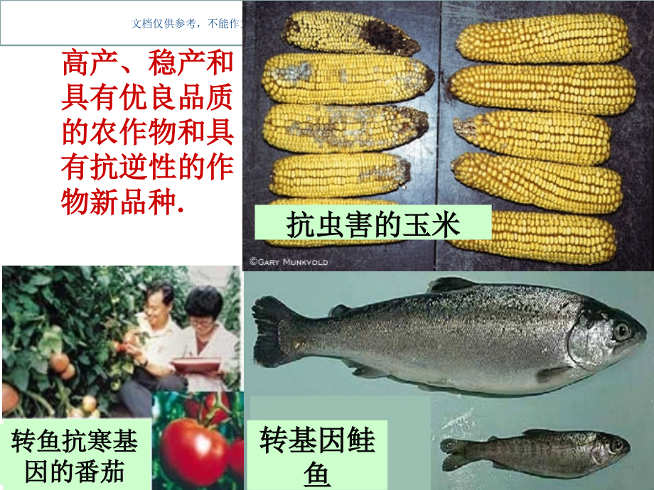 基因工程和其应用课件.ppt_第1页