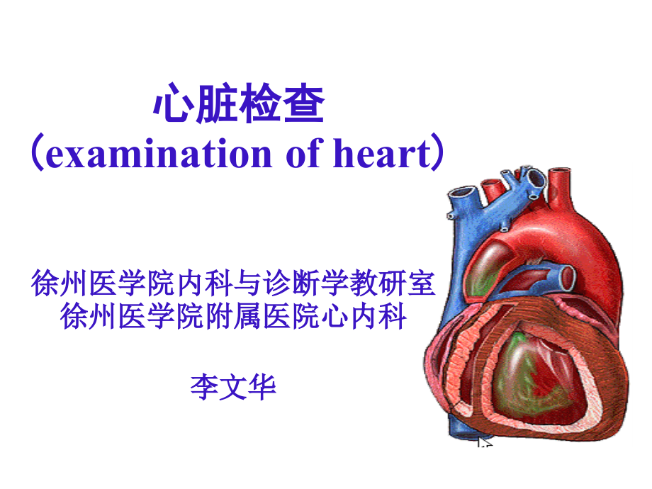 本科教学心脏检查.ppt_第2页