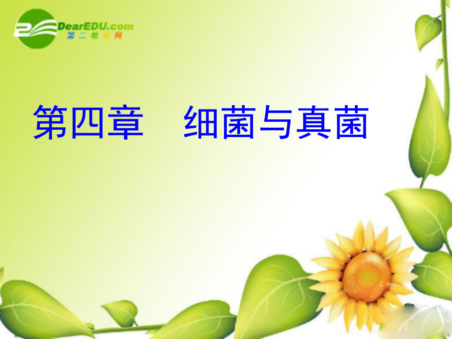 复习《细菌与真菌》.ppt_第1页