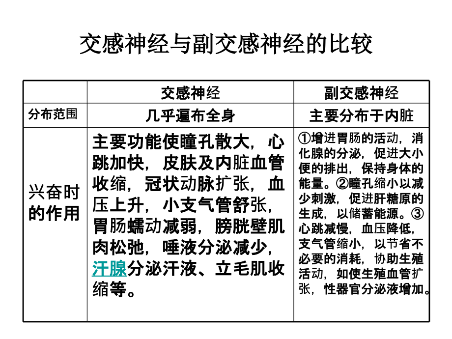 外周神经系图表.ppt_第1页