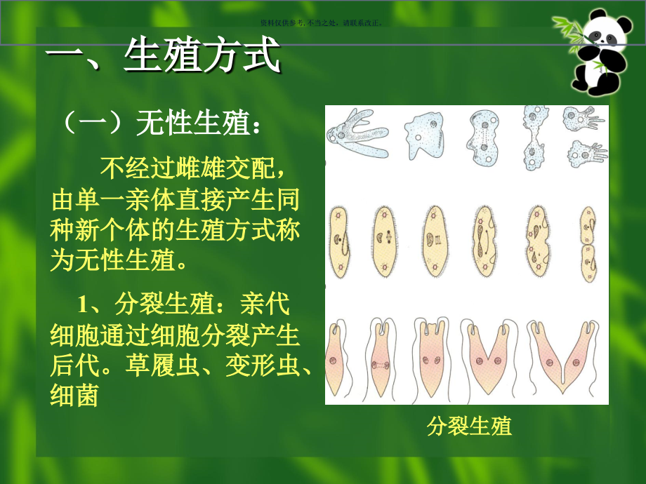 生殖发育主题医学知识.ppt_第1页