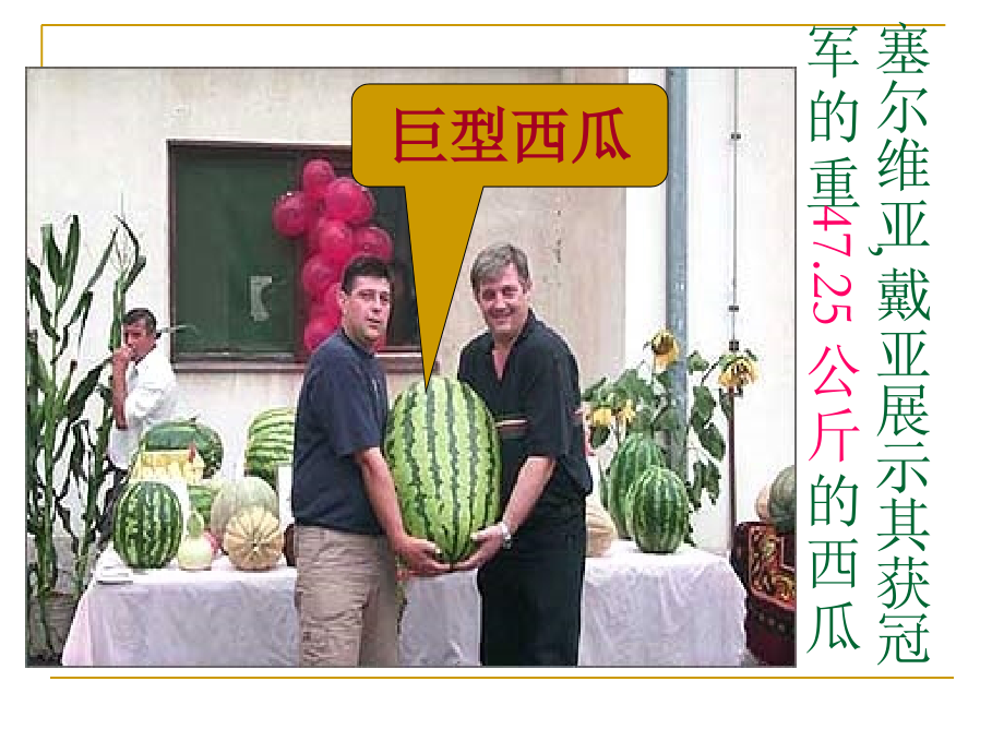 细胞的增殖39[1].ppt_第2页