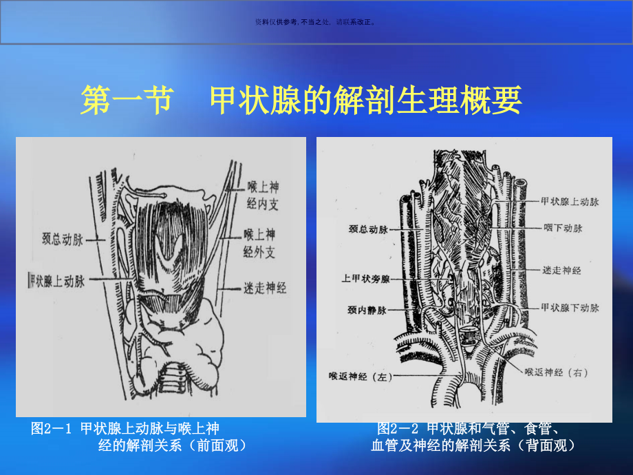 外科护理学颈部疾病病人的护理概述.ppt_第2页
