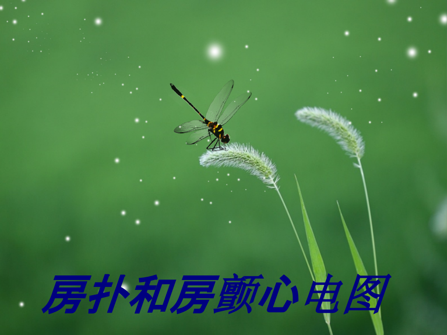 房扑和房颤心电图优质PPT课件.ppt_第1页