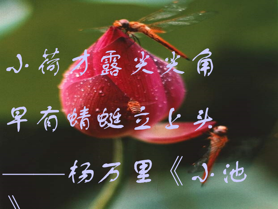 爱莲说10分钟课件.ppt_第1页