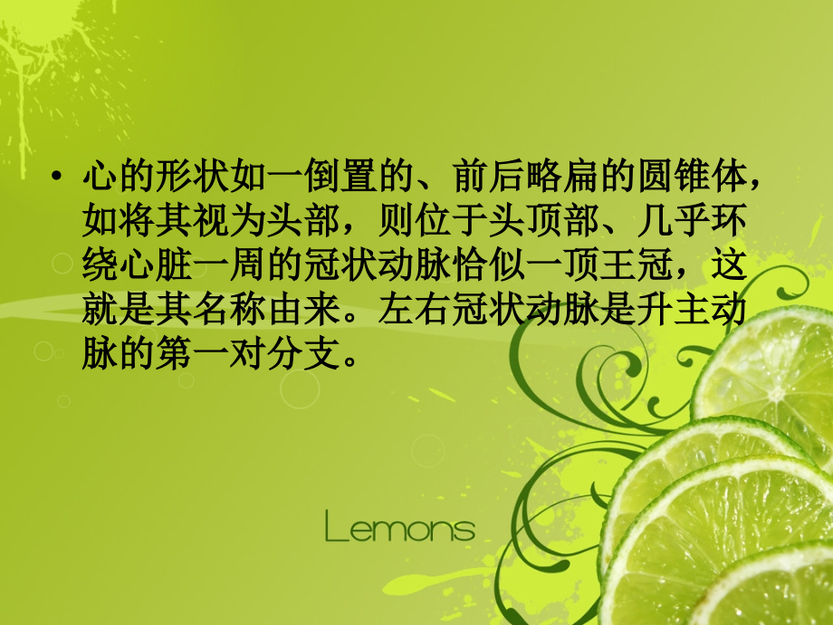 心脏冠状动脉解剖优质PPT课件.ppt_第2页