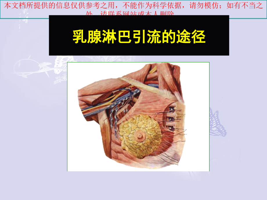 乳腺淋巴结医疗培训课件.ppt_第2页