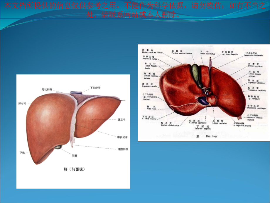 肝手术麻醉专业知识宣贯.ppt_第1页