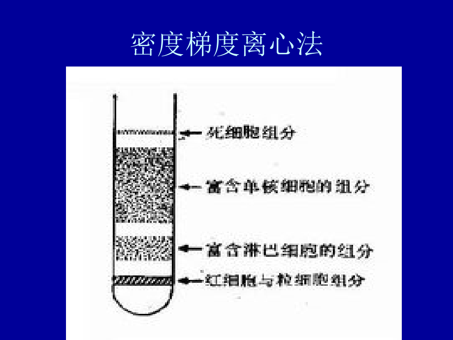 PPT医学课件密度梯度离心法取单个核细胞具体方法讲义.ppt_第2页