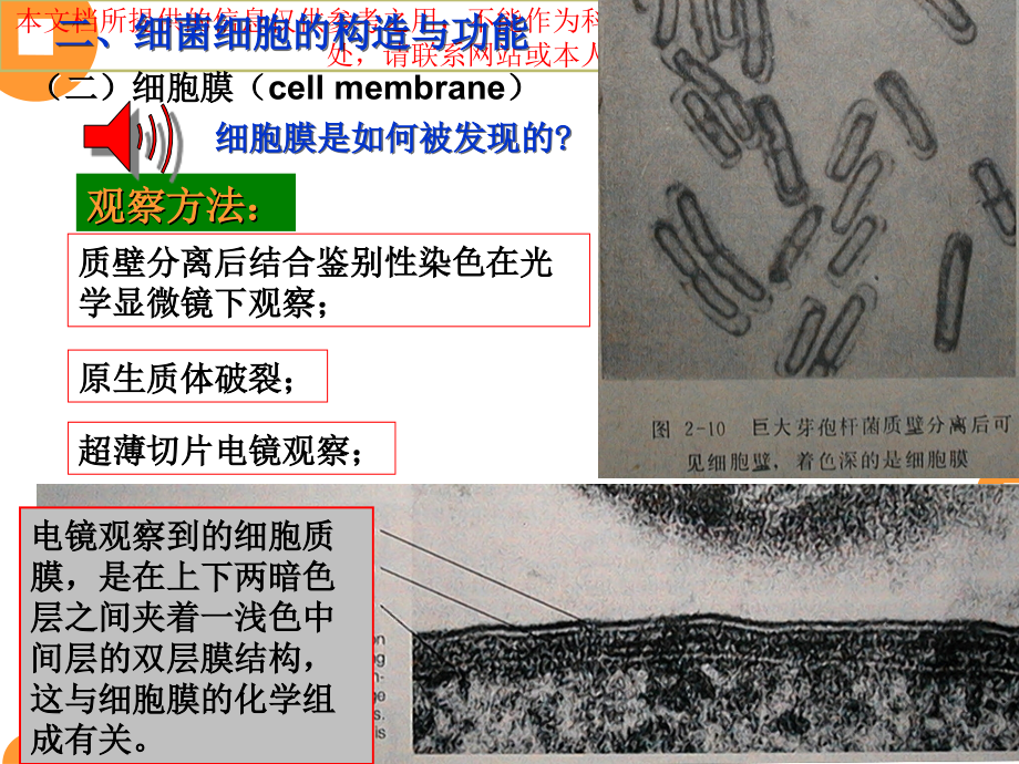 细菌细胞的构造和功能.ppt_第1页