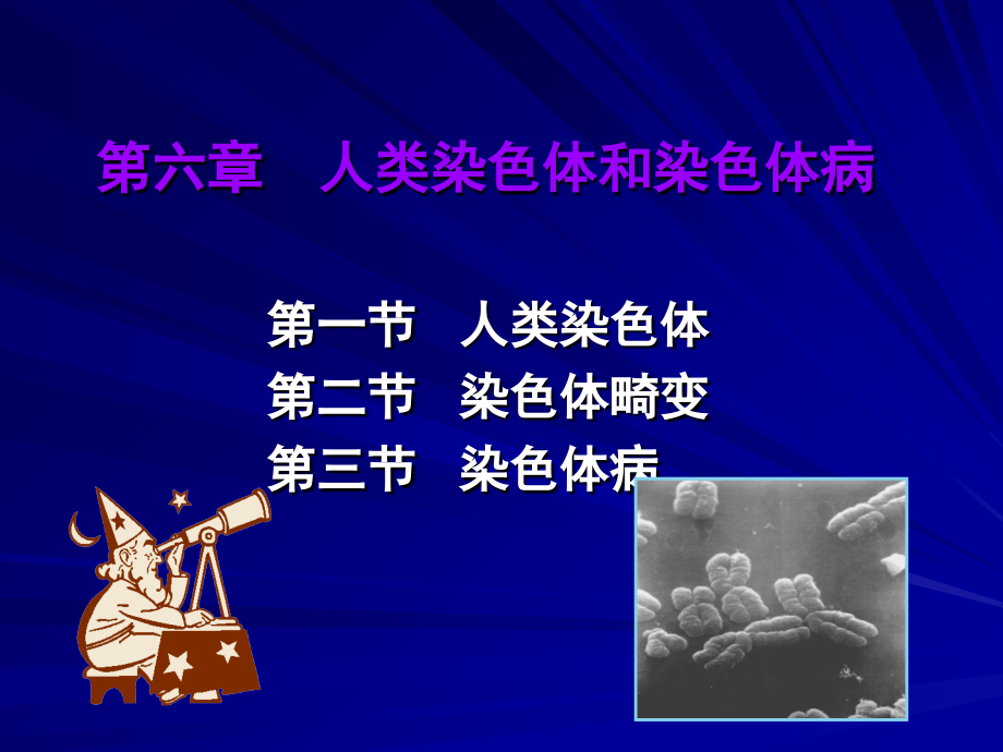 第六章-人类染色体和染色体病OK.ppt_第1页