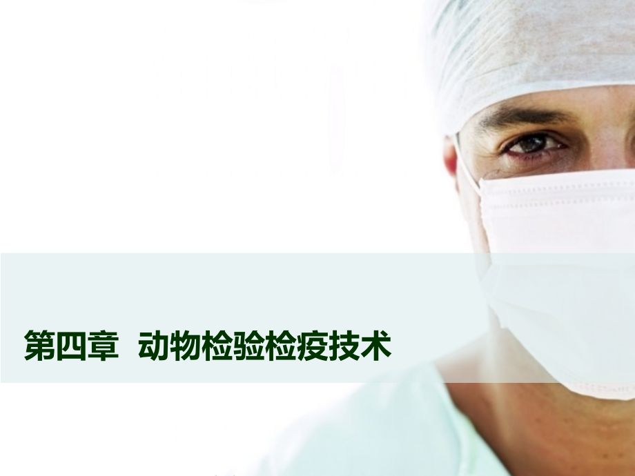 第四章--动物检验检疫技术--WSC.ppt_第1页