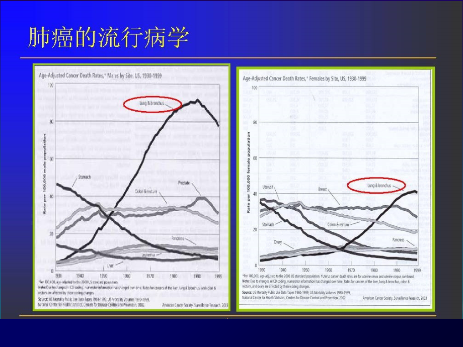 晚期非小细胞肺癌化学治疗分子靶向治疗进展-十大共识.ppt_第2页