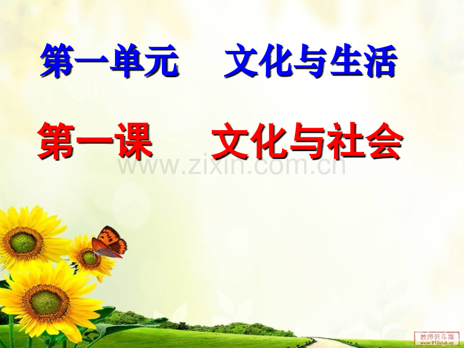 文化与经济政治w.ppt_第2页
