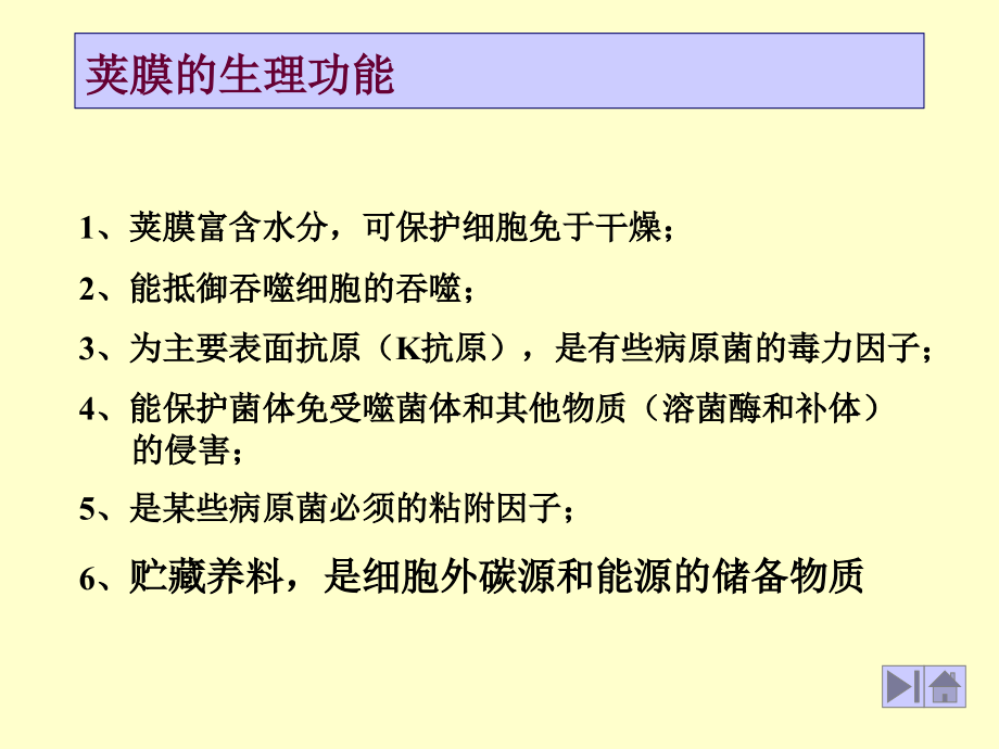 第一章-原核生物的形态、构造和功能(2)第一节-细菌.ppt_第2页