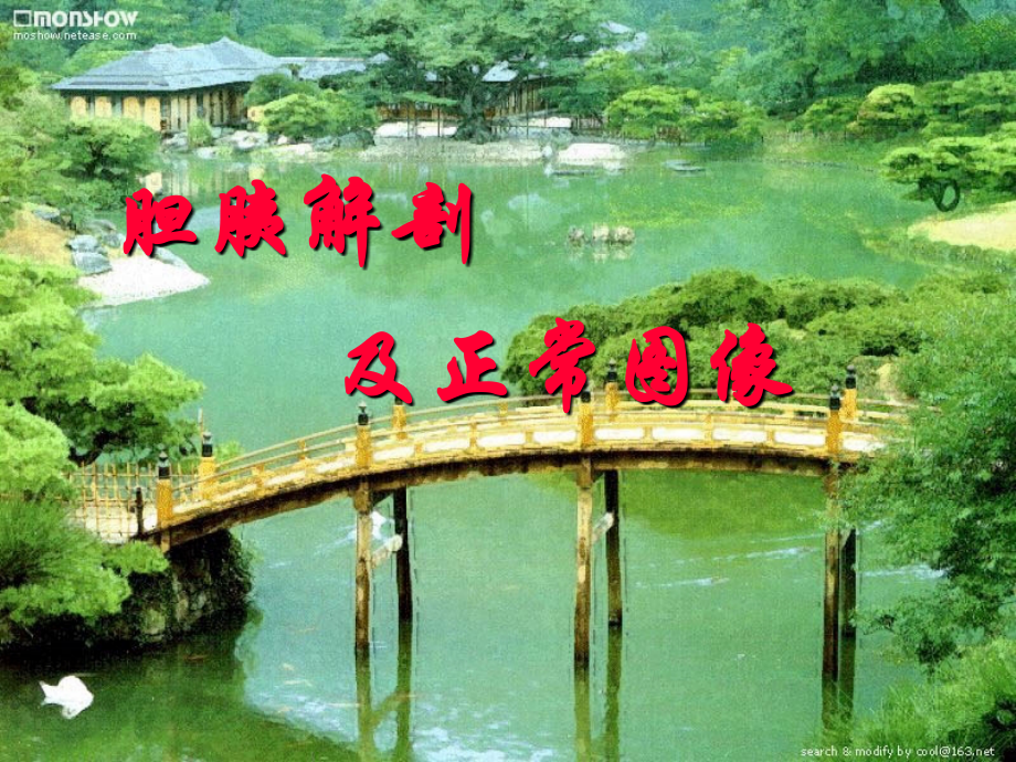胆囊及胰腺超声诊断.ppt_第1页