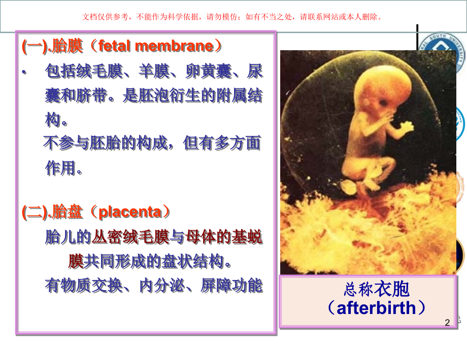 胎膜和胎盘专业知识培训.ppt_第2页