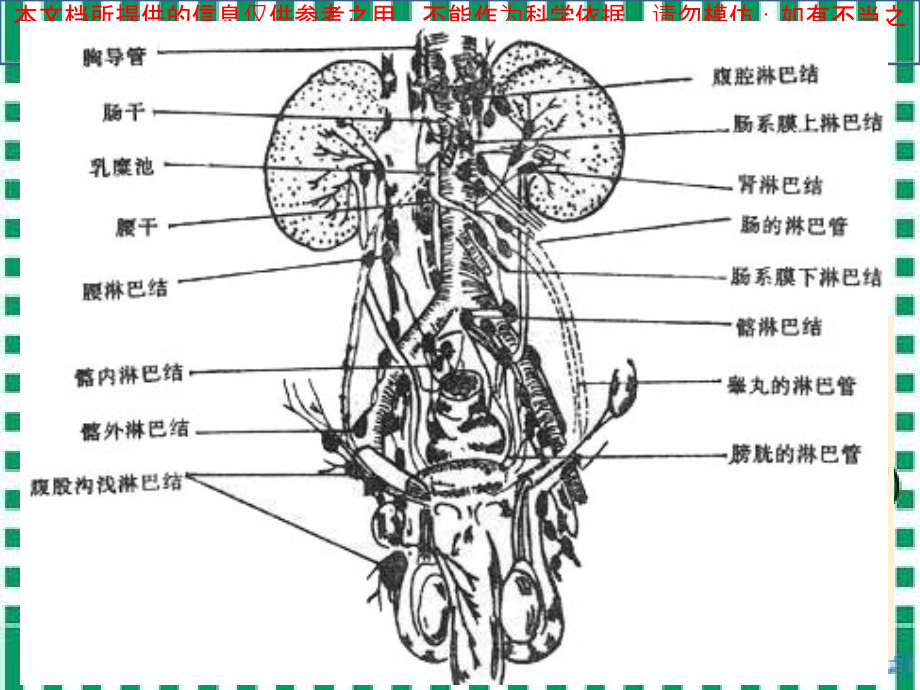 肠系膜淋巴结炎.ppt_第2页