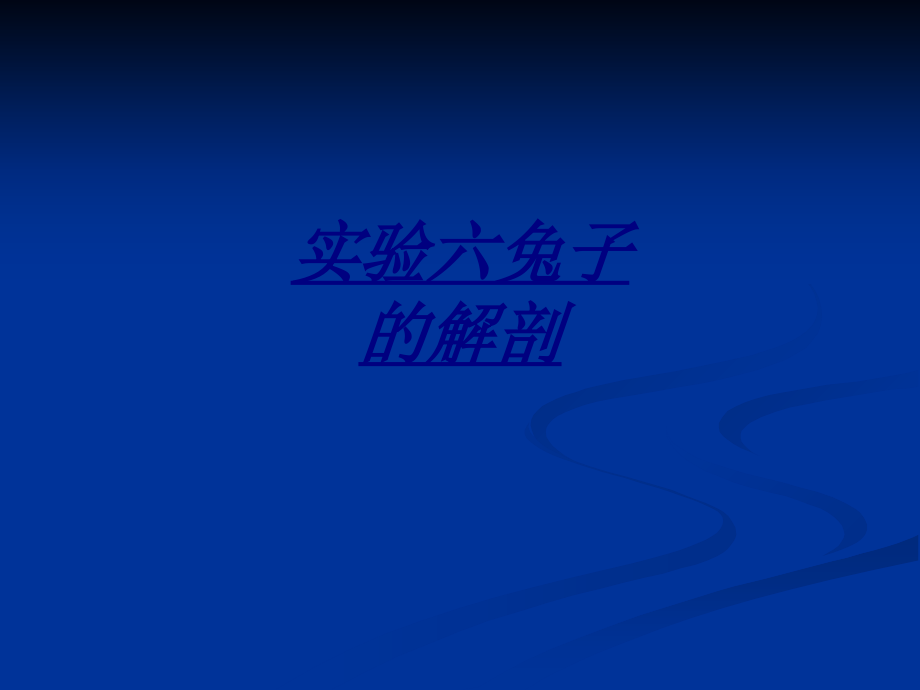 实验六兔子的解剖讲义.ppt_第1页