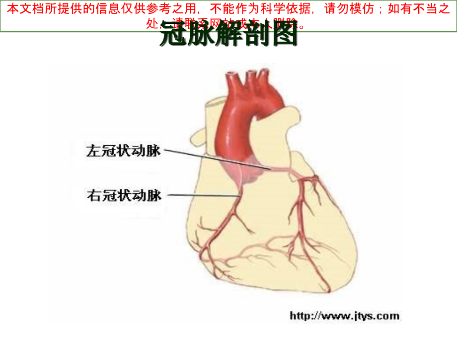 几种心脏病鉴别诊疗培训课件.ppt_第2页