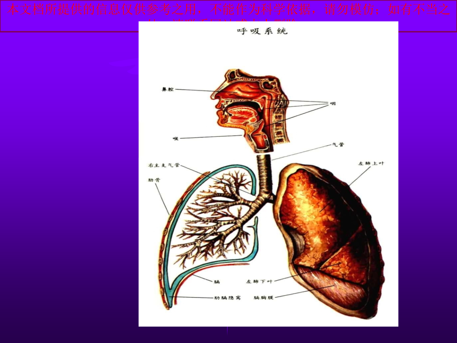 内科呼吸衰竭汇总培训课件.ppt_第1页