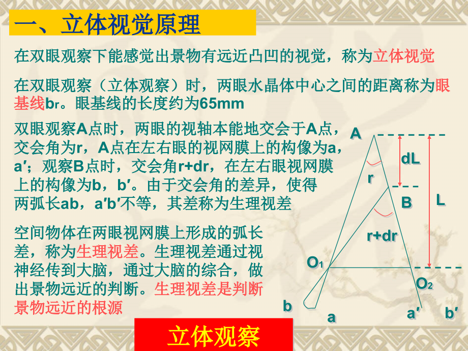 第6章-立体观察.ppt_第2页