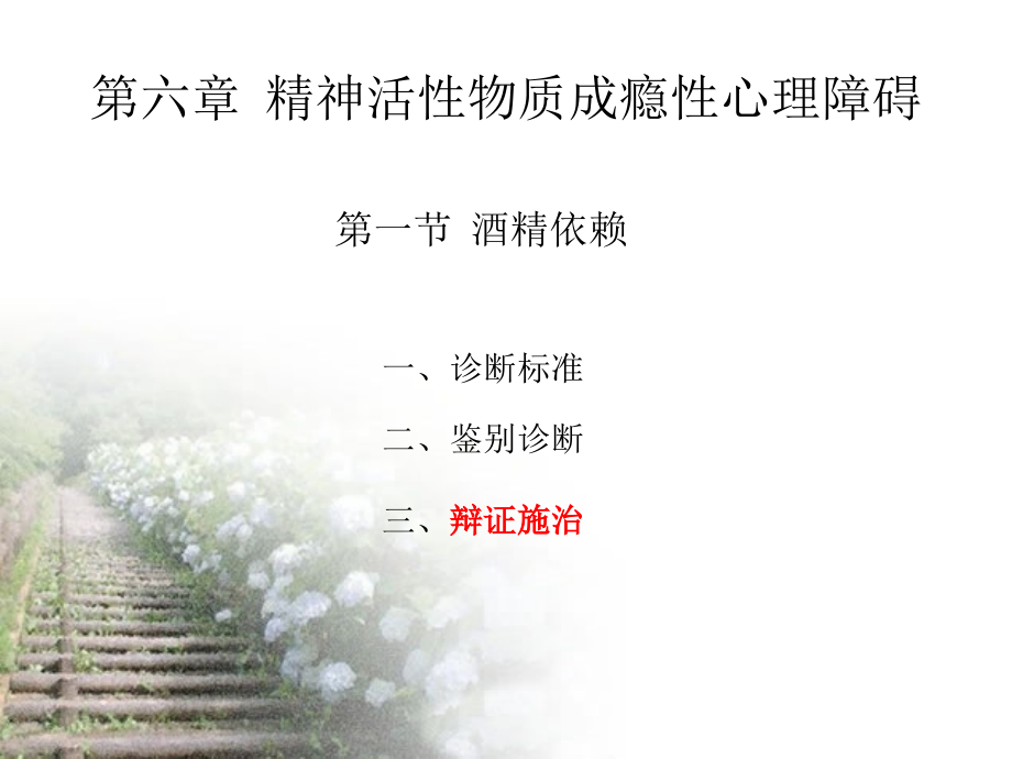 中西医临床治疗.ppt_第2页