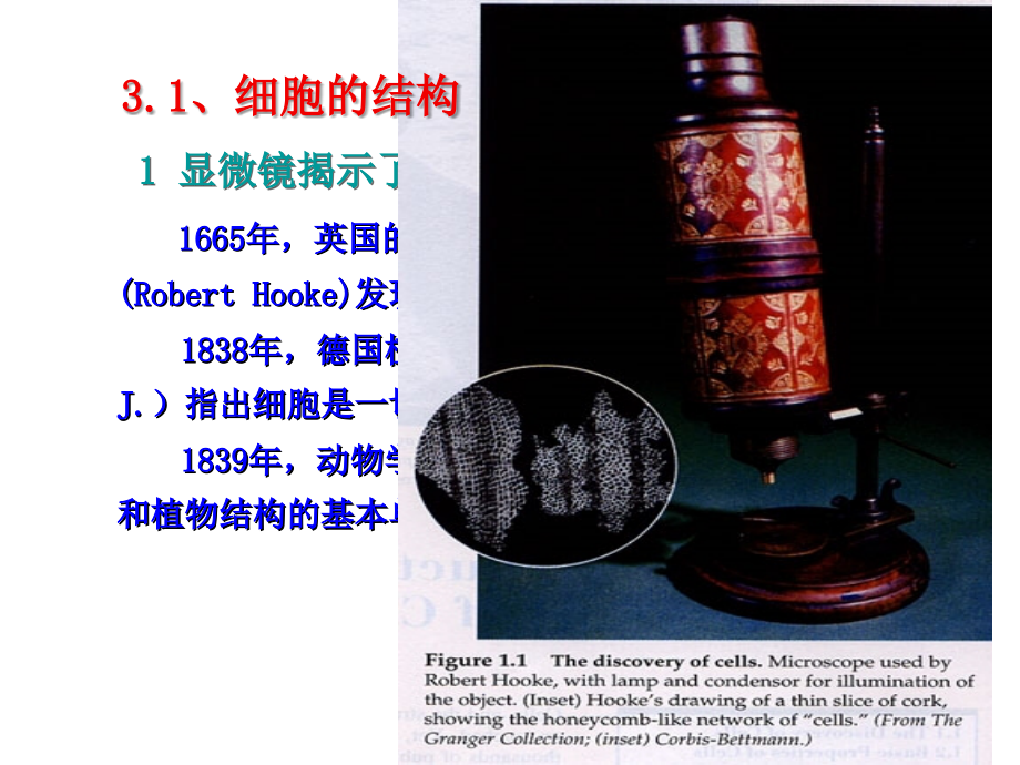 普通生物学第三章：细胞结构与细胞通讯.ppt_第1页