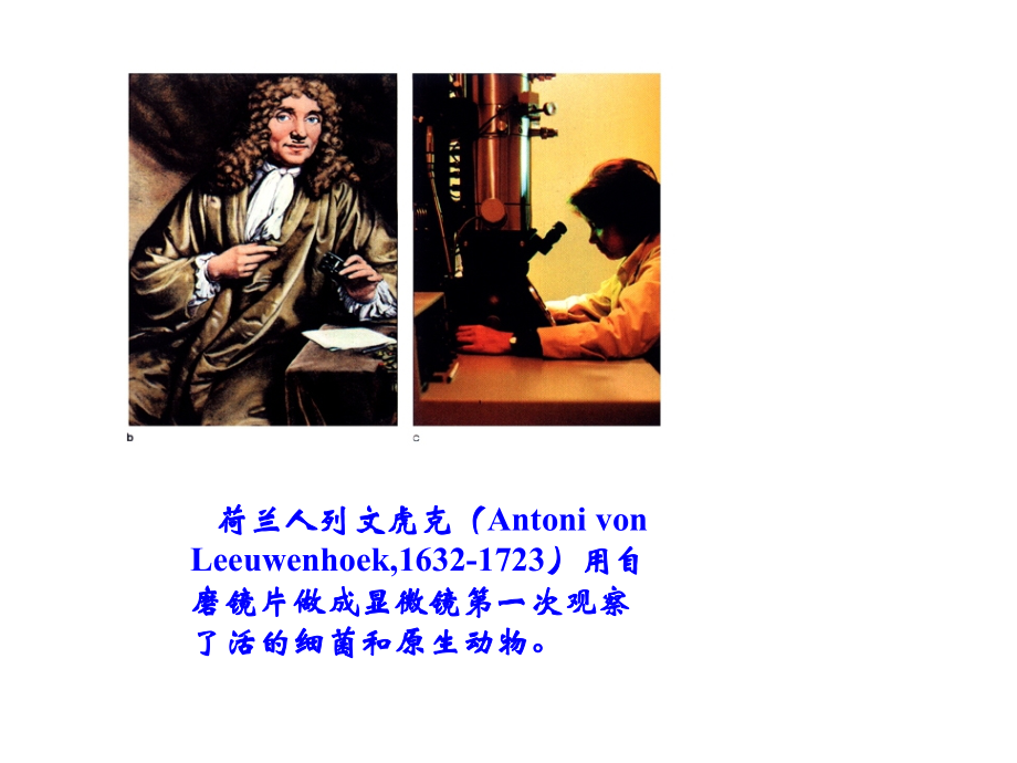 普通生物学第三章：细胞结构与细胞通讯.ppt_第2页
