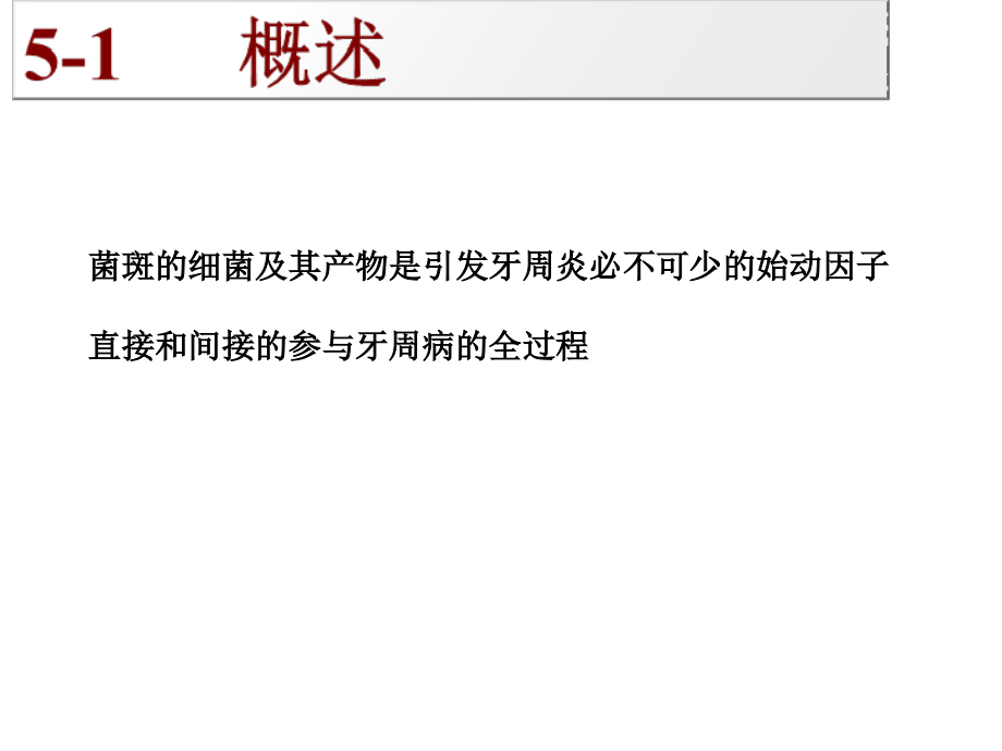 第4章-牙周病微生物学.ppt_第2页