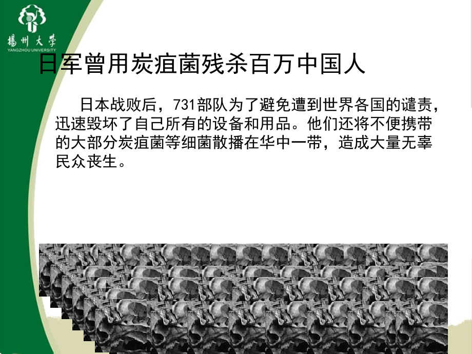 炭疽芽孢杆菌课件.ppt_第2页
