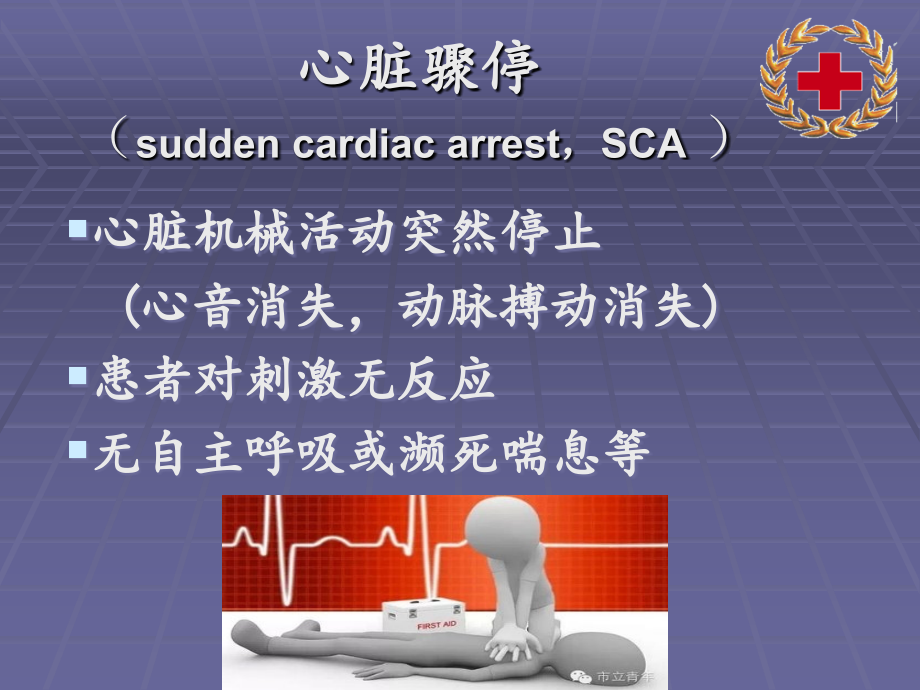 心肺复苏培训汇总PPT优质课件.ppt_第2页