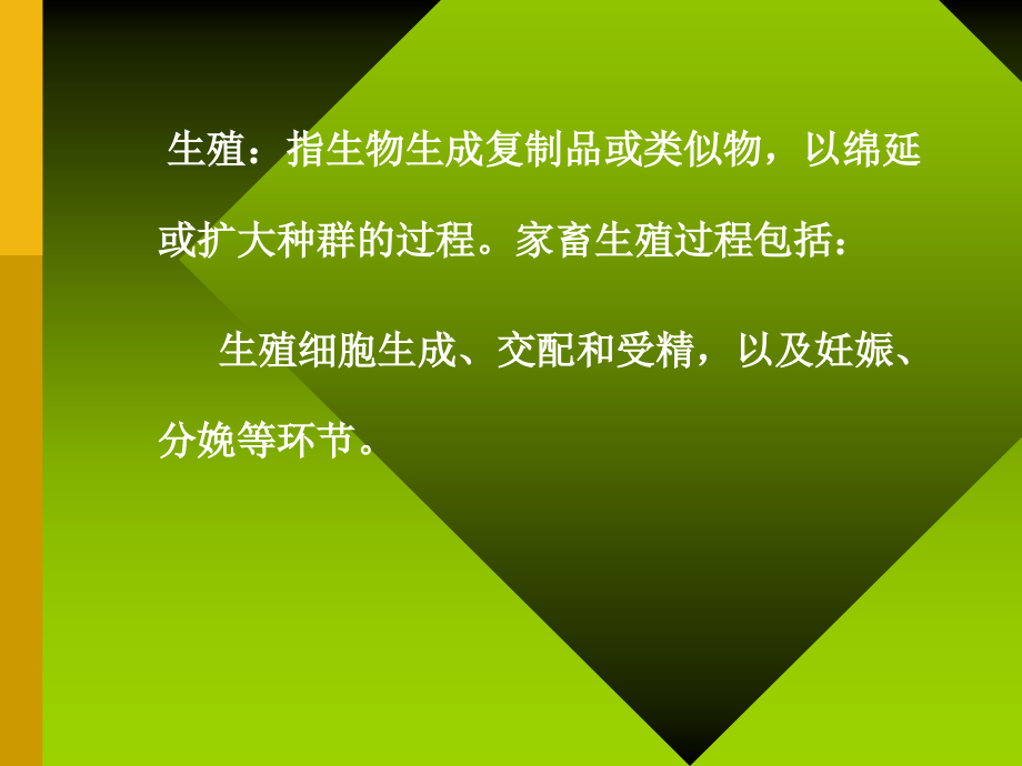 生殖——大学.ppt_第2页