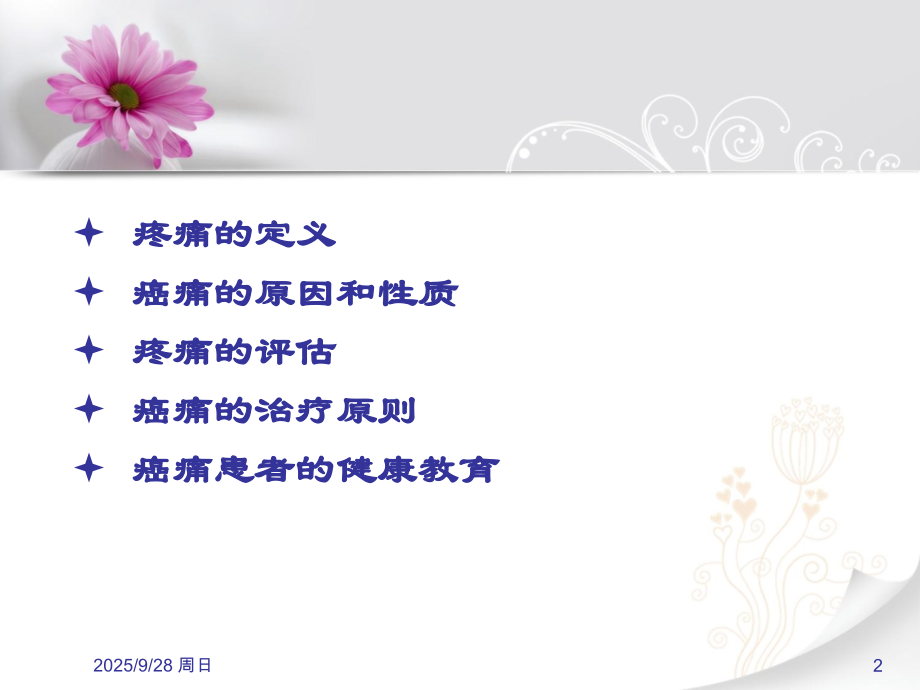 疼痛评估和病人宣教PPT培训课件.ppt_第2页