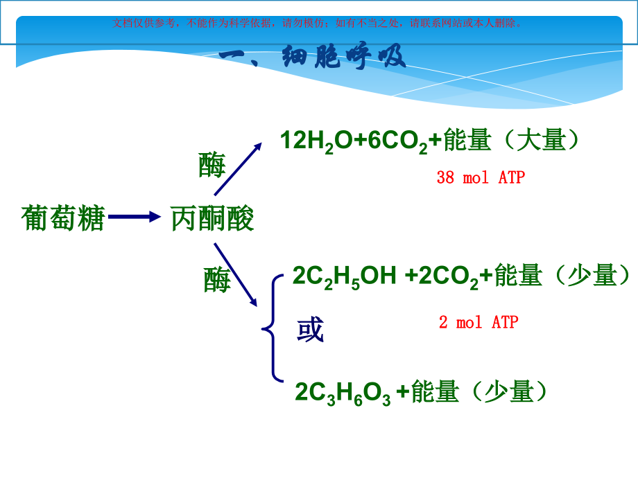 呼吸作用光合作用课件.ppt_第2页