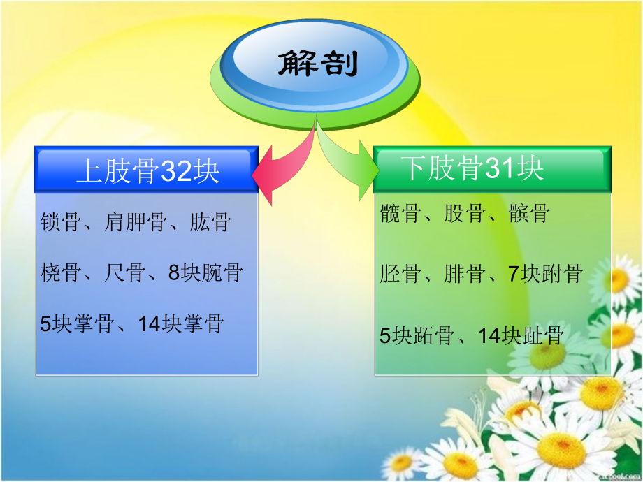 四肢骨折护理.ppt_第2页