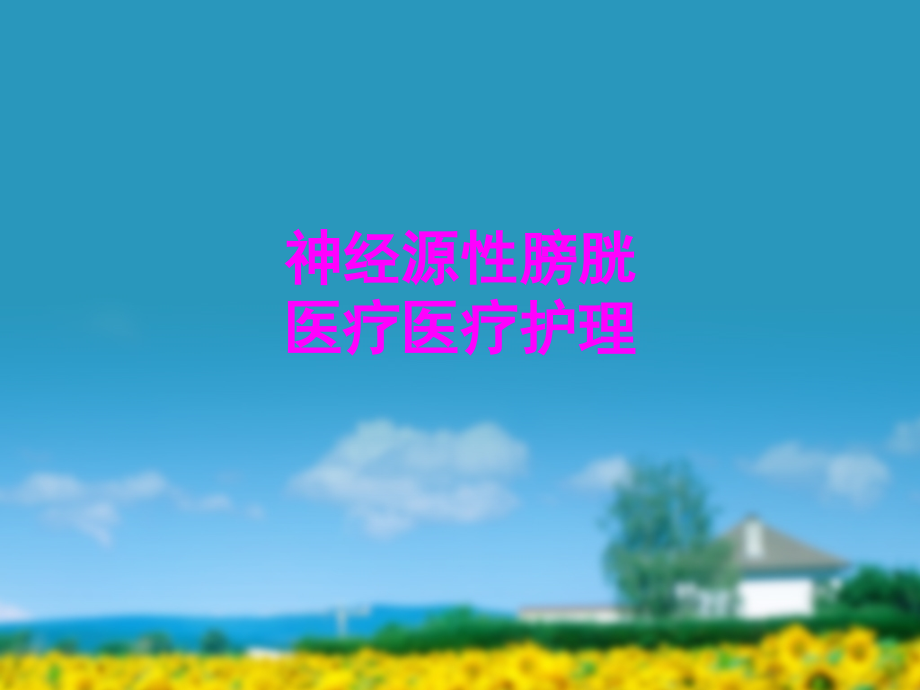 医学神经源性膀胱医疗医疗护理专题课件.ppt_第1页